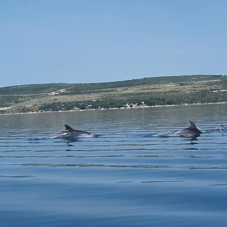 Stara Horvatia * Maslenica